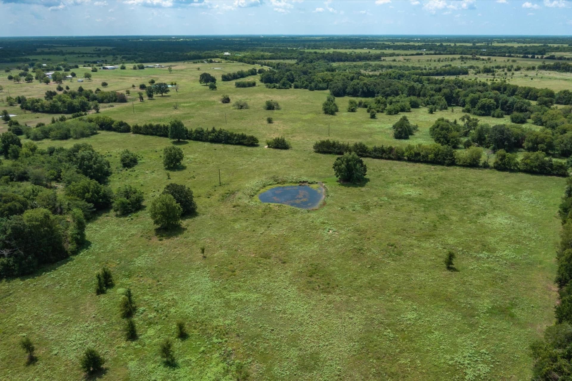 10.01 acres in Van Zandt County gallery image 3