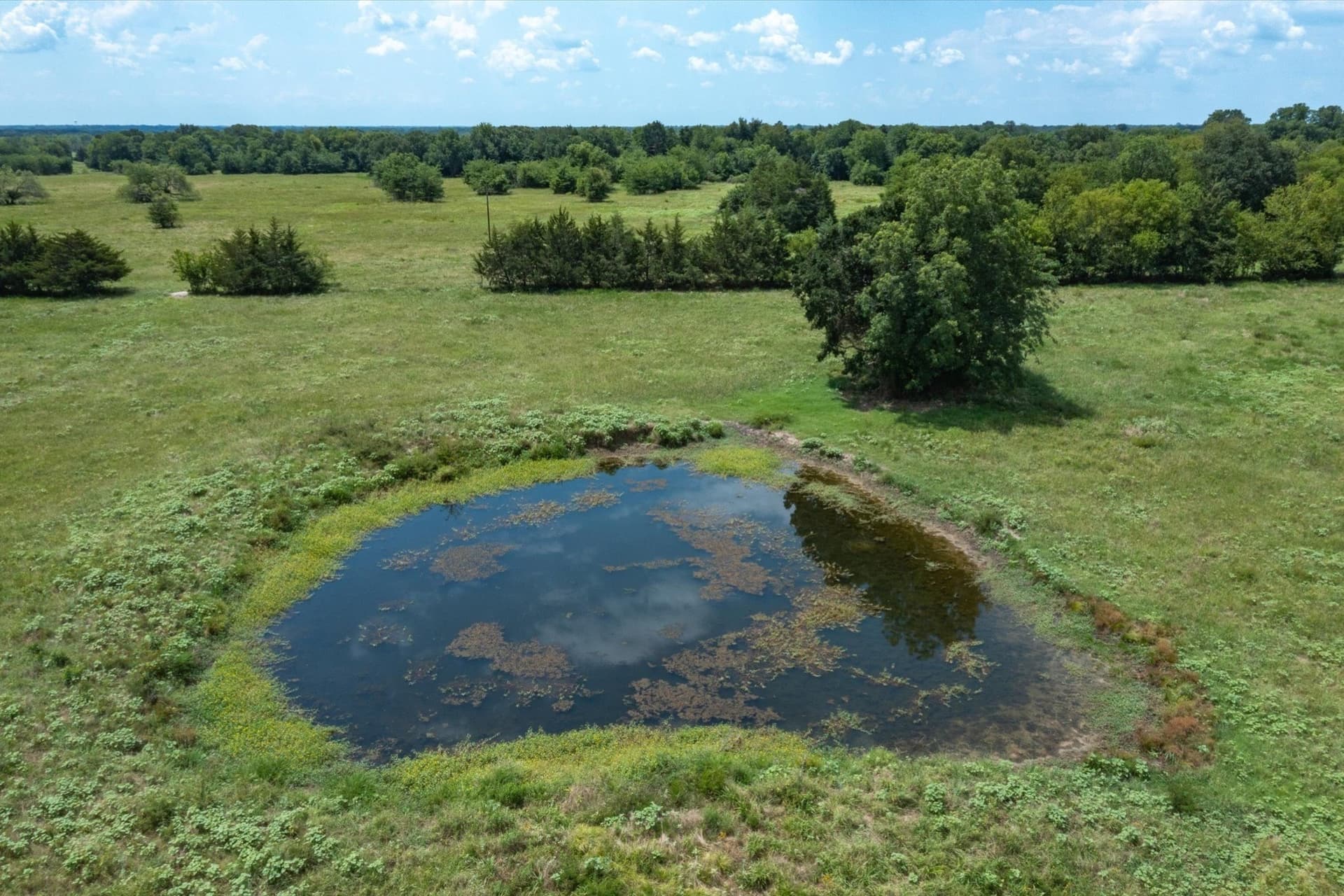 10.01 acres in Van Zandt County gallery image 4