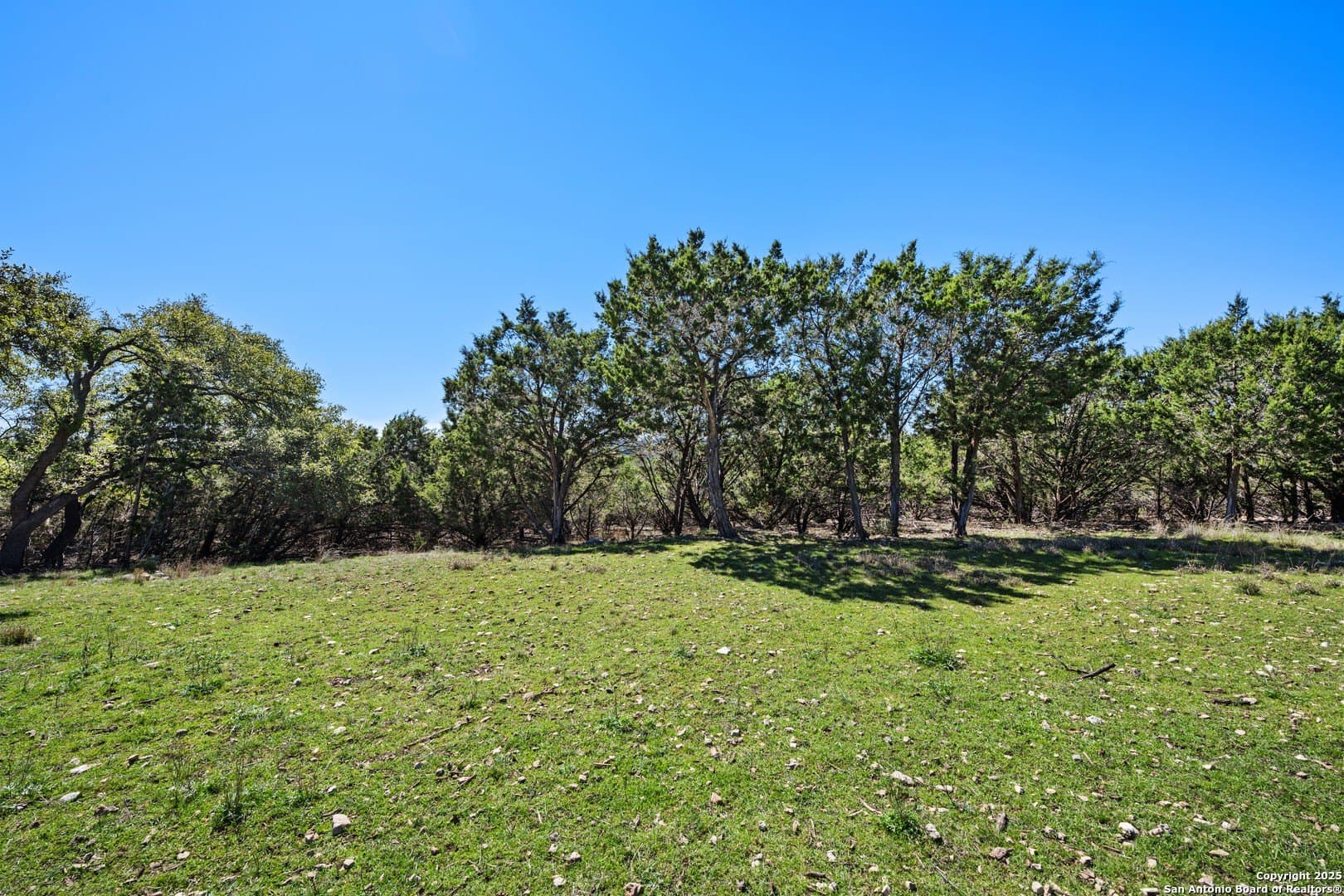 1.09 acres in Comal County - photo 8