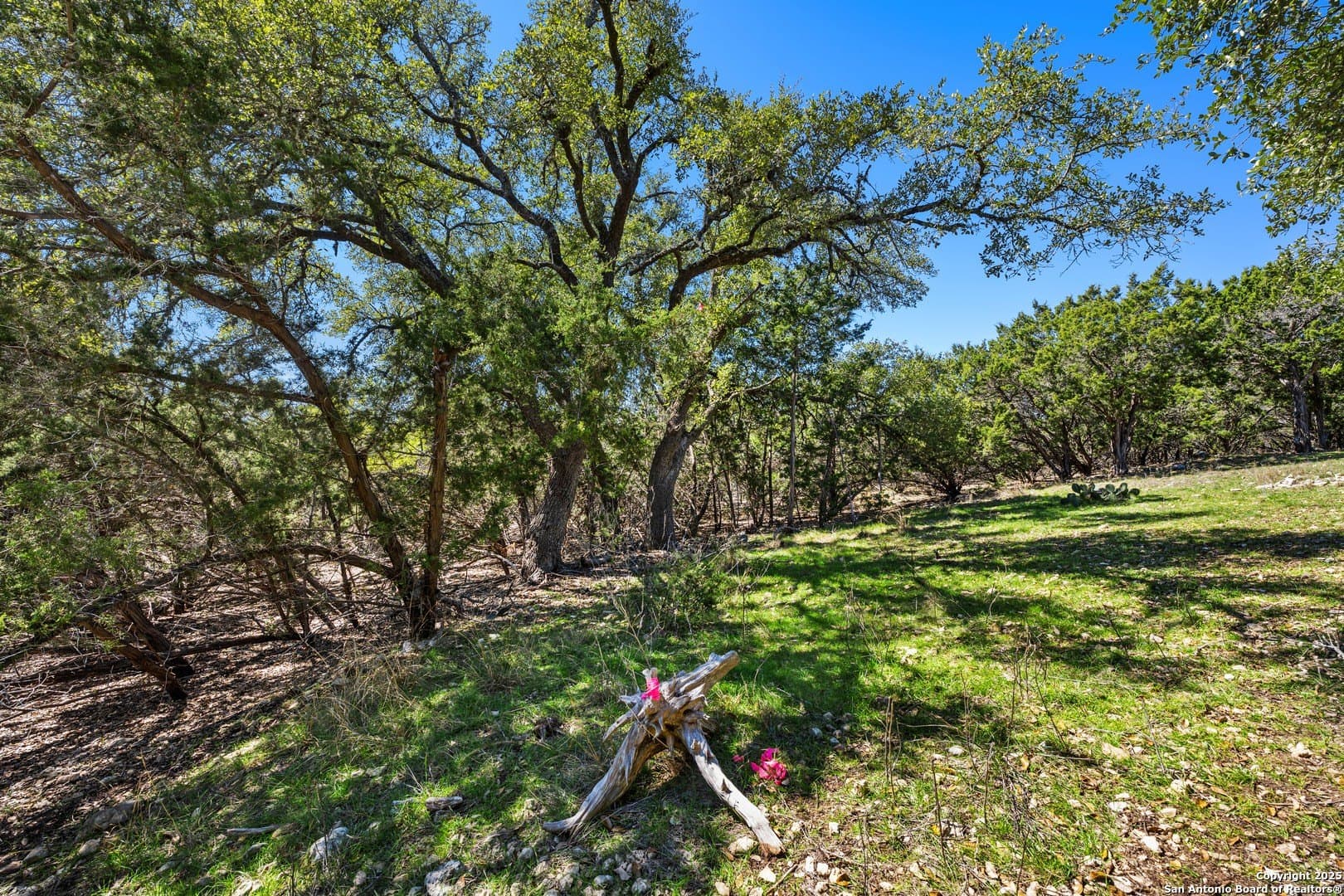 1.09 acres in Comal County gallery image 4