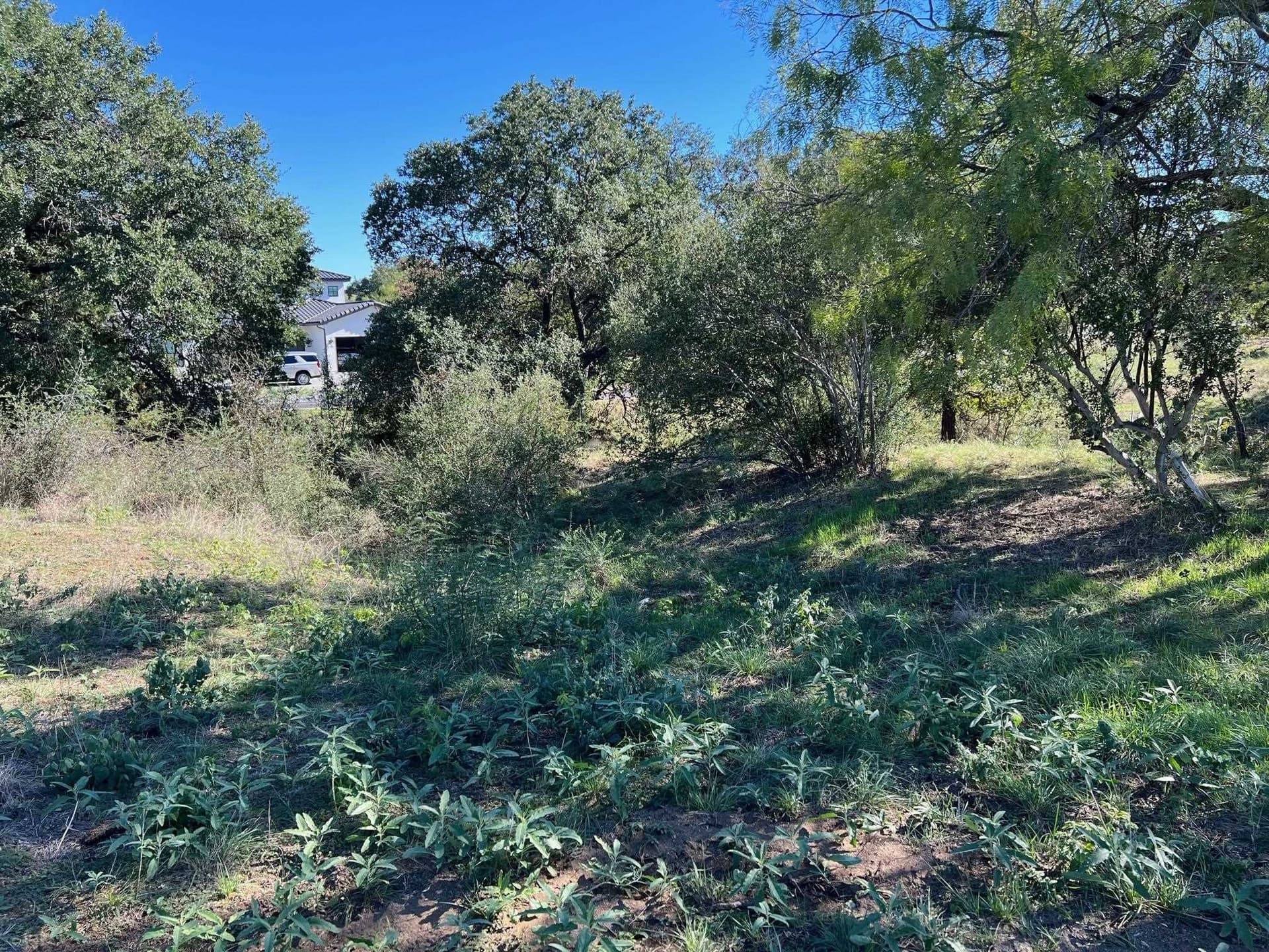 0.3 acres in Llano County gallery image 4