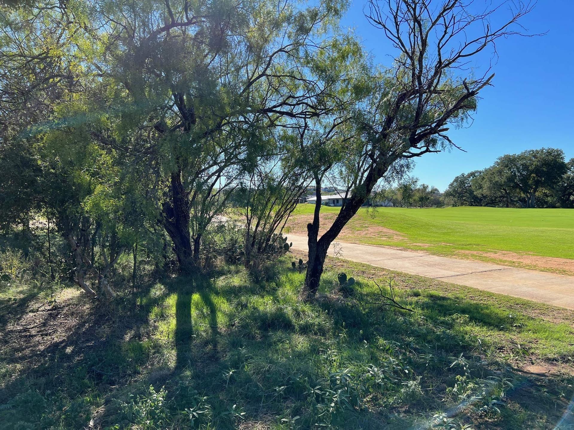 0.3 acres in Llano County - photo 6