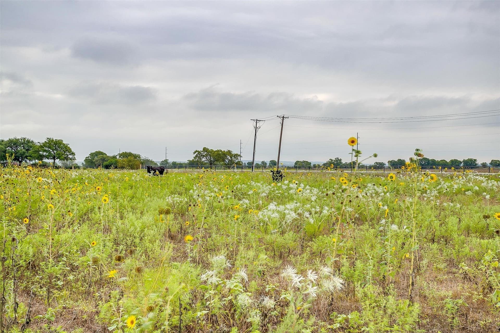 12.67 acres in Tarrant County - photo 21