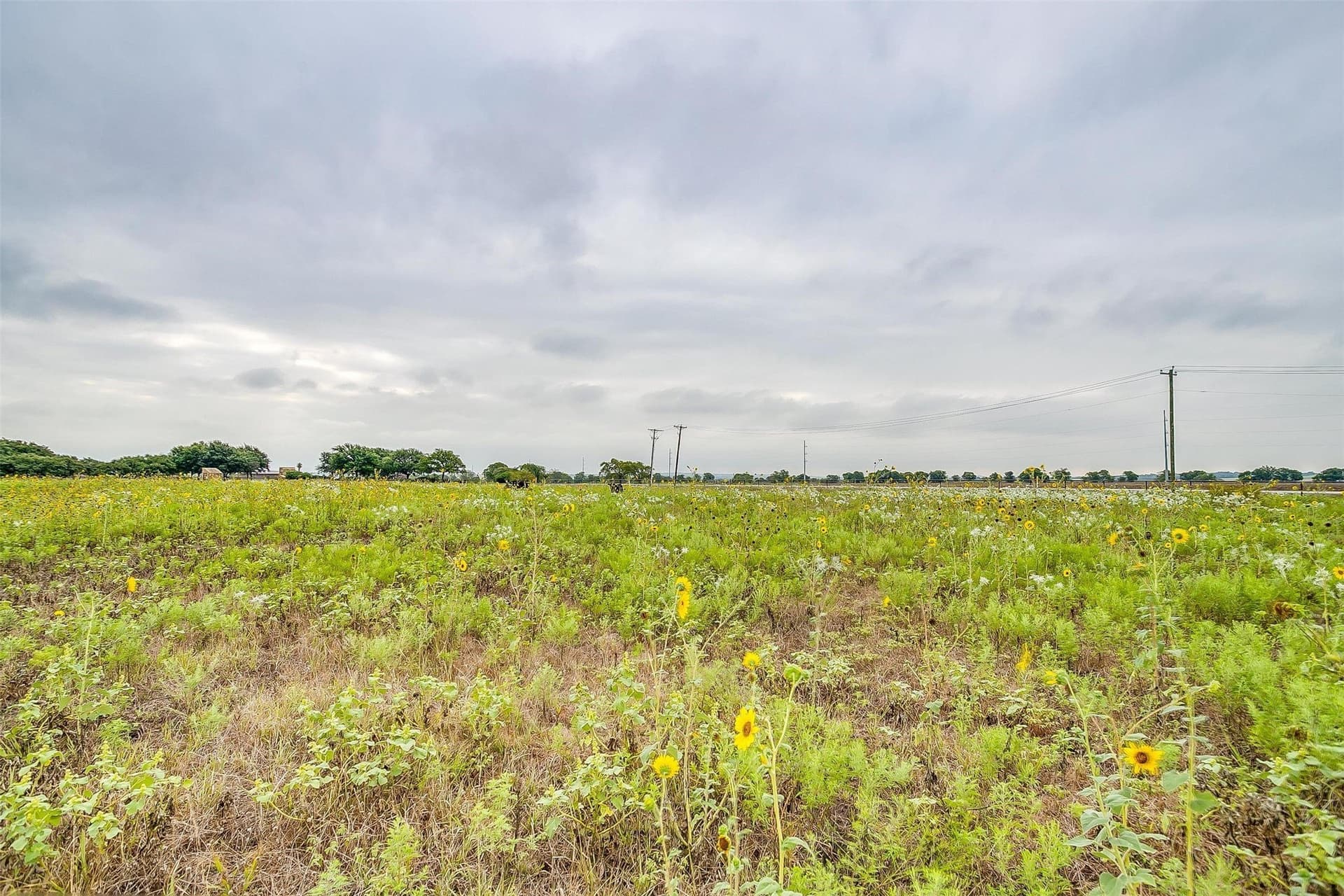 12.67 acres in Tarrant County - photo 28