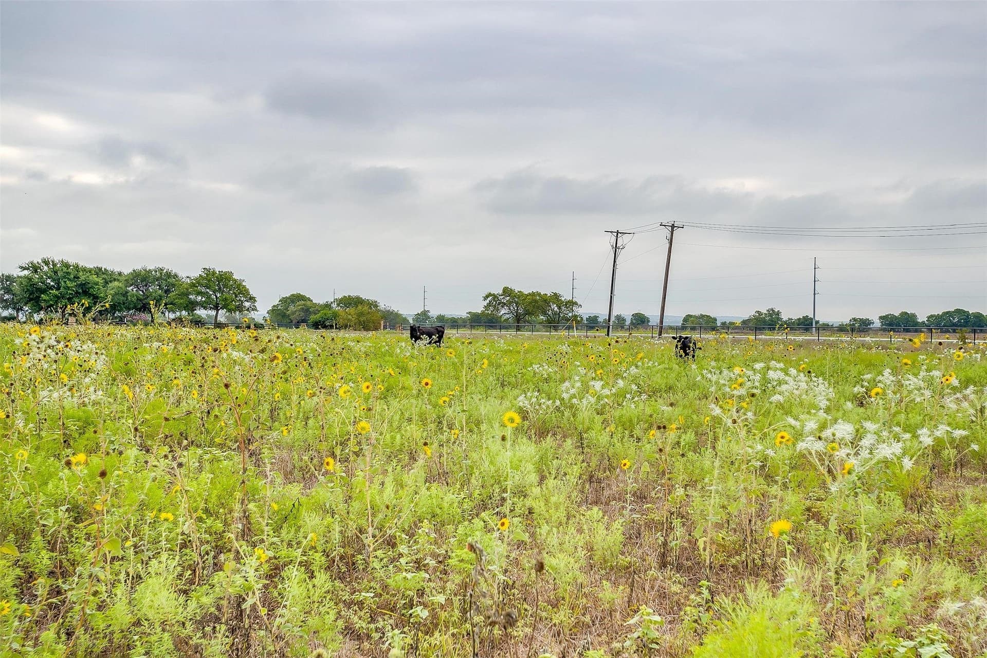 12.67 acres in Tarrant County - photo 10