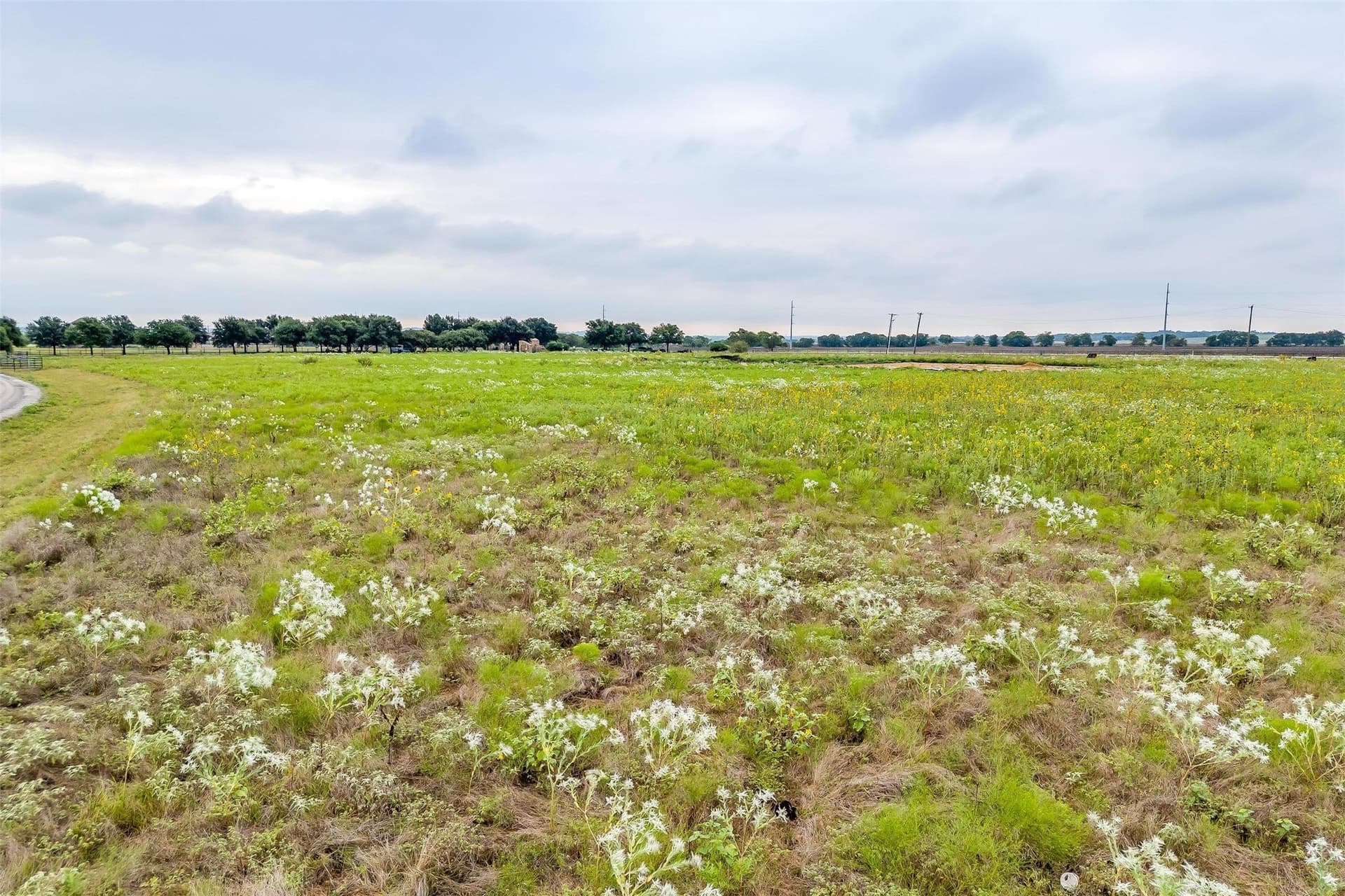 12.67 acres in Tarrant County - photo 31