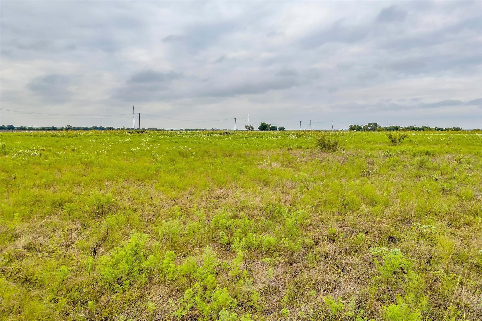 12.67 acres in Tarrant County - photo 30