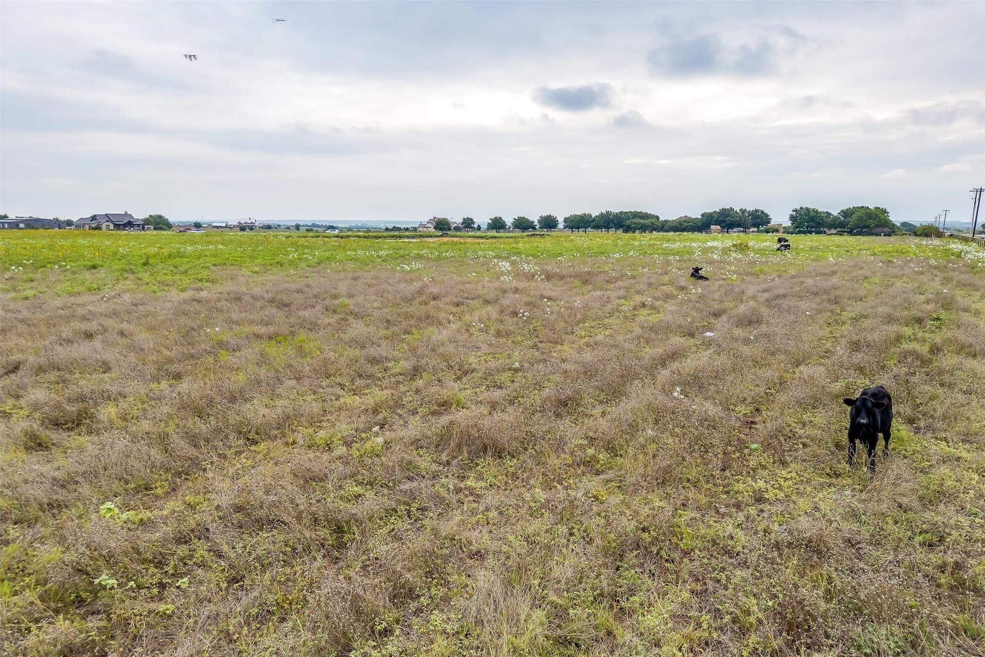 12.67 acres in Tarrant County - photo 32