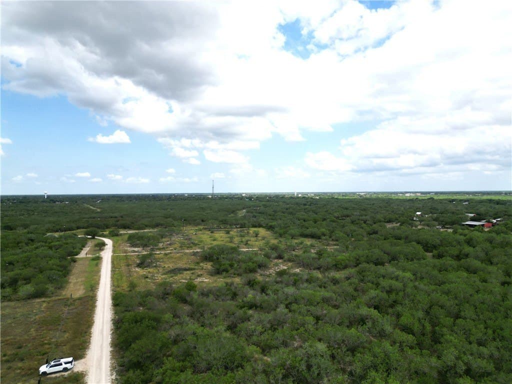 13.2 acres in Duval County gallery image 3