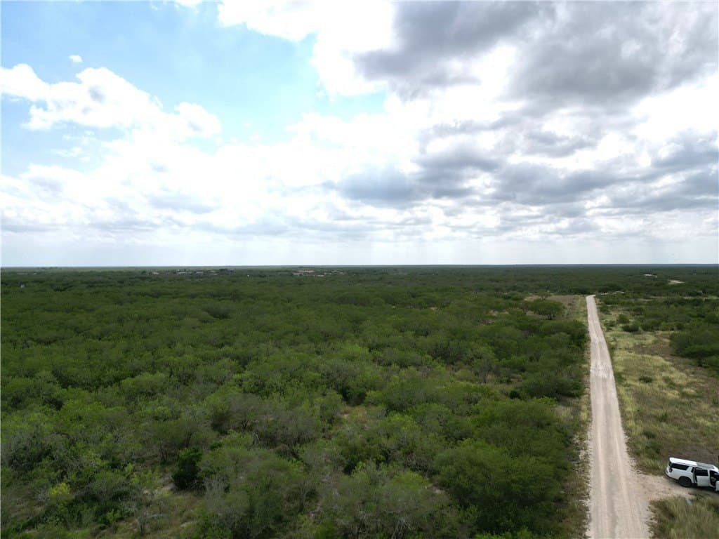 13.2 acres in Duval County gallery image 4