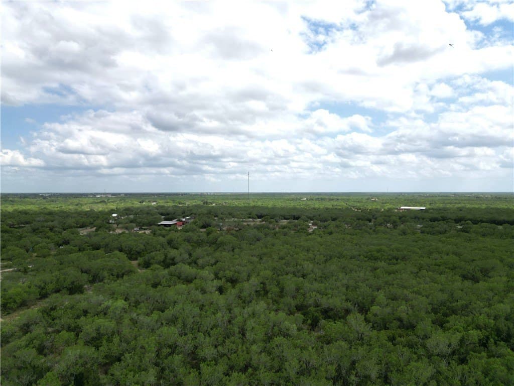 13.2 acres in Duval County gallery image 2