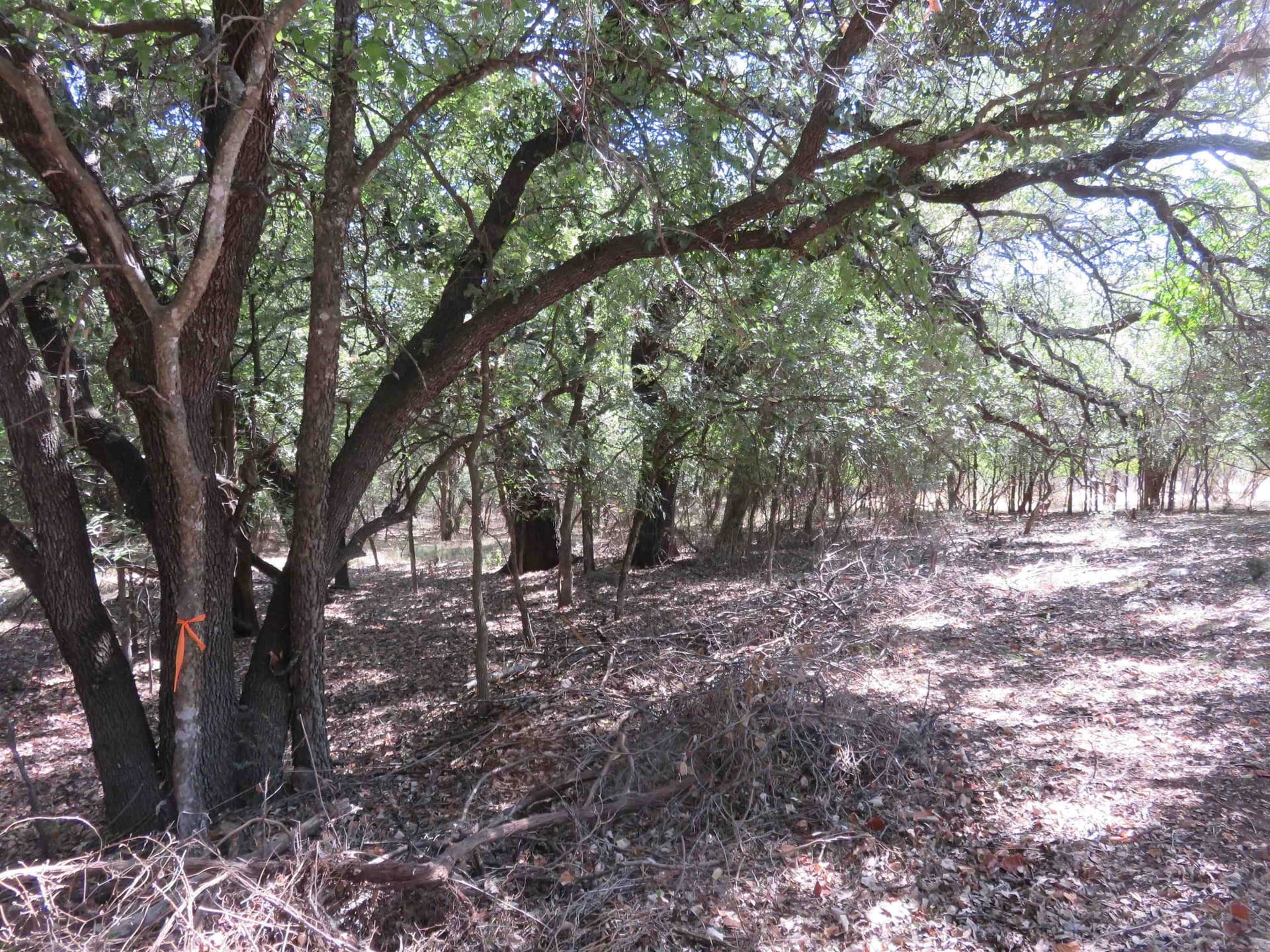 0.2 acres in Llano County