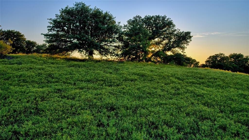 148.25 acres in Montague County gallery image 4