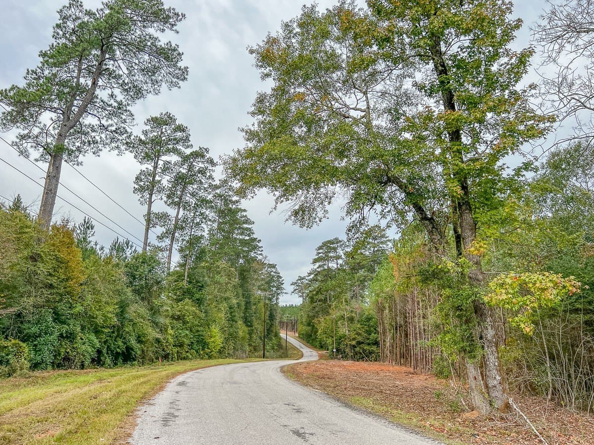 3.55 acres in Liberty County - photo 7