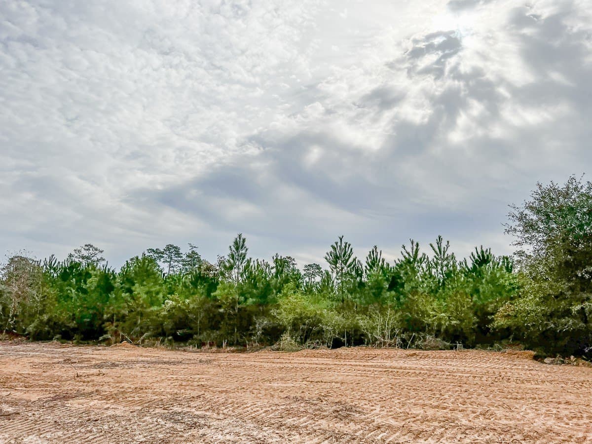3.55 acres in Liberty County - photo 5