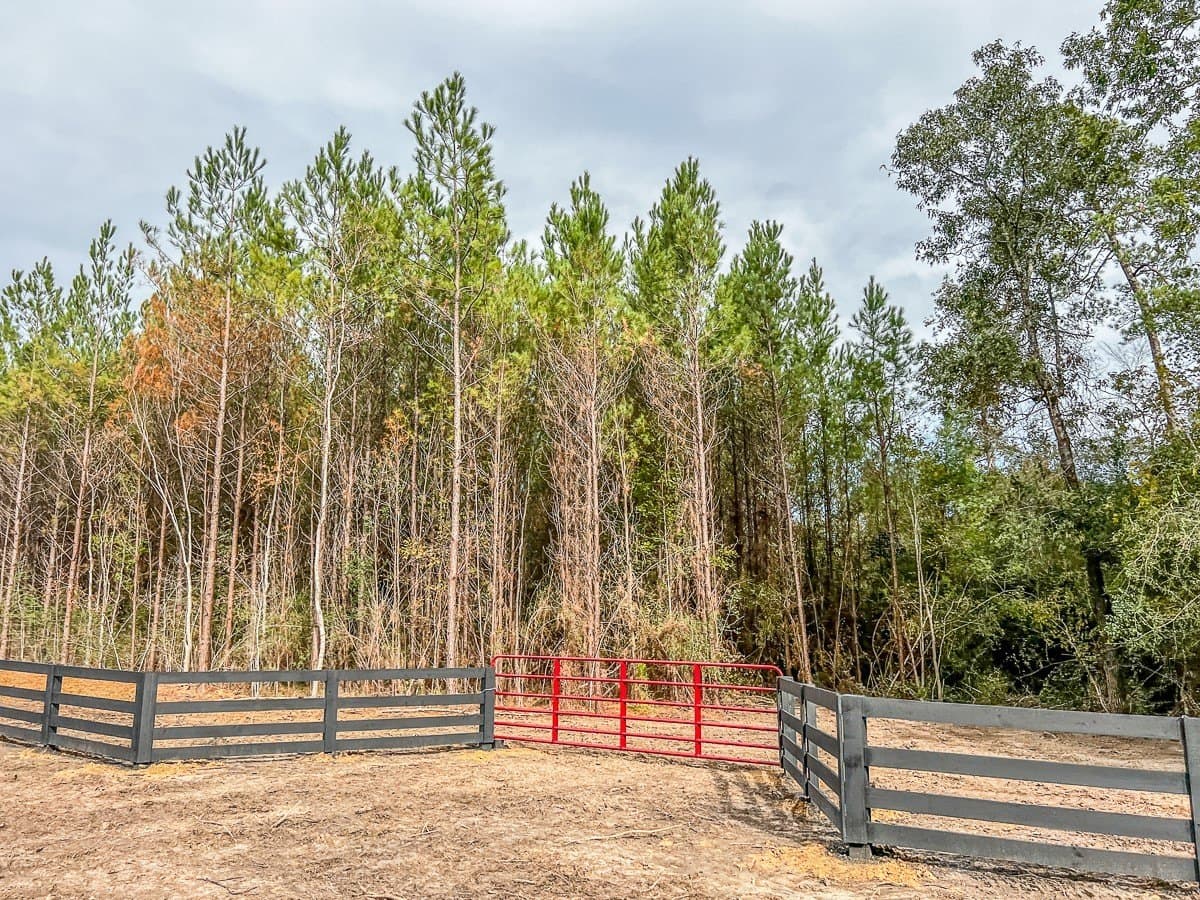 3.55 acres in Liberty County - photo 13