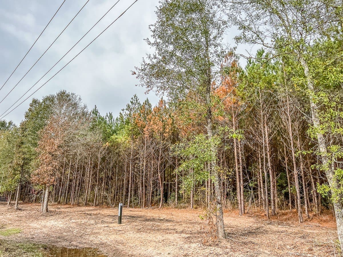 3.55 acres in Liberty County - photo 4