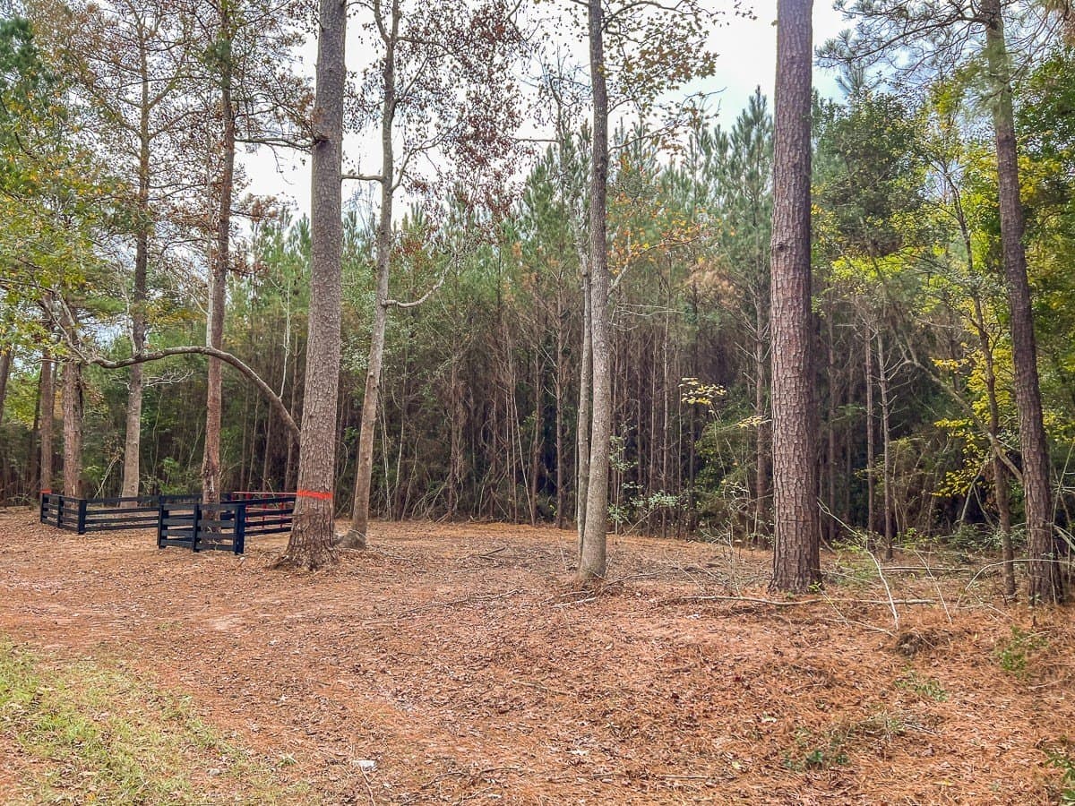 3.55 acres in Liberty County - photo 9