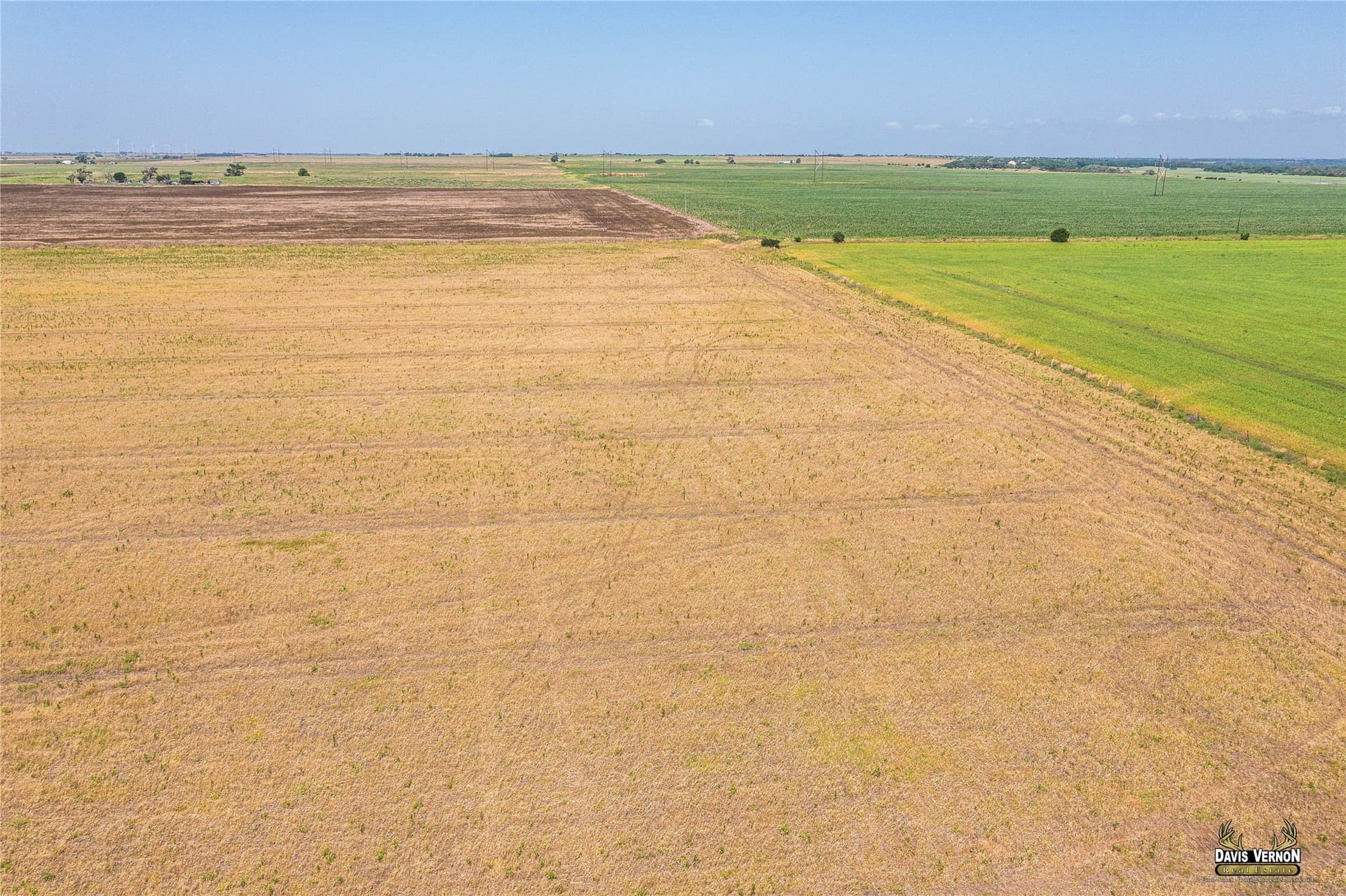 160 acres in Wilbarger County - photo 7