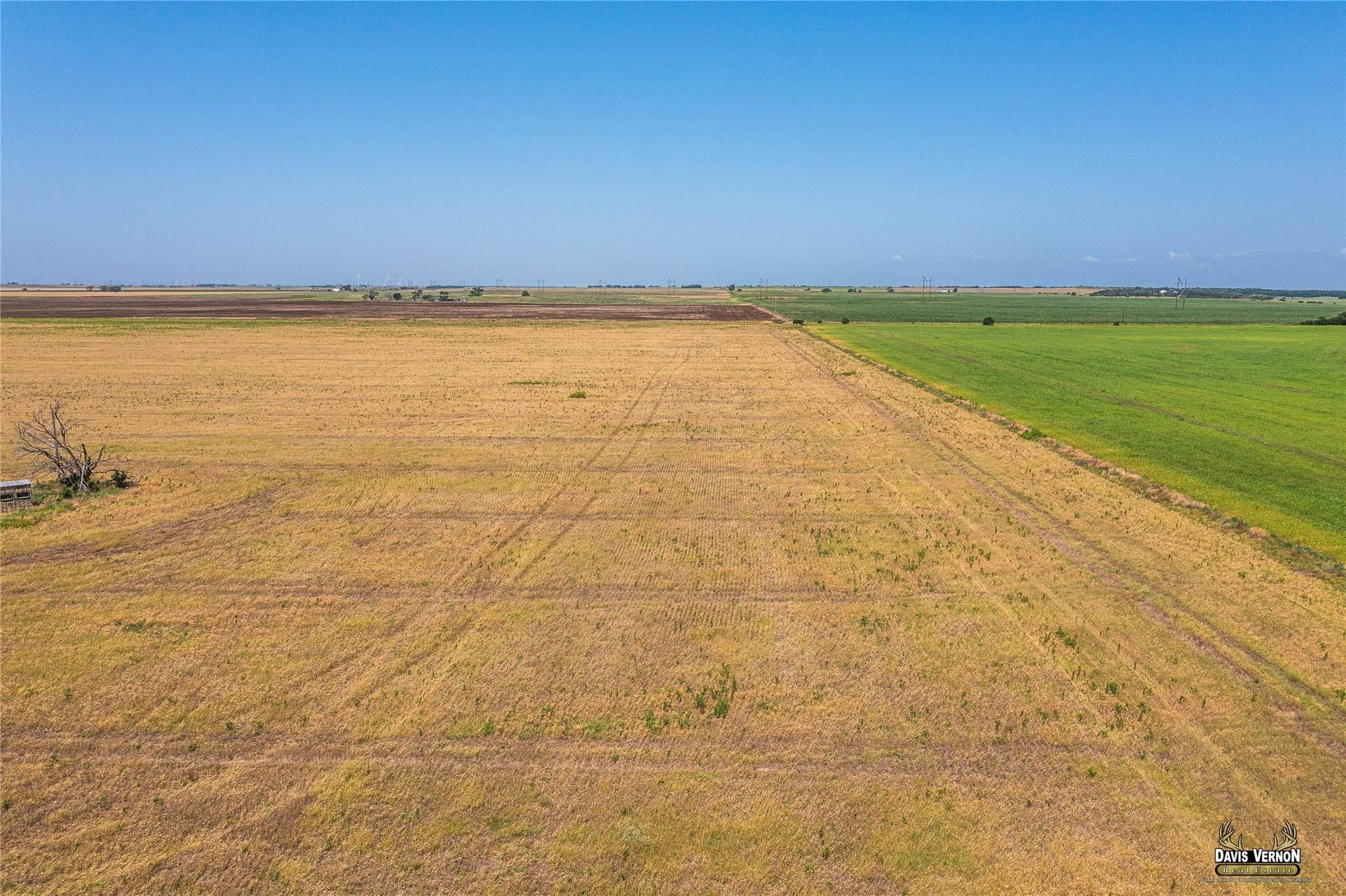 160 acres in Wilbarger County featured view