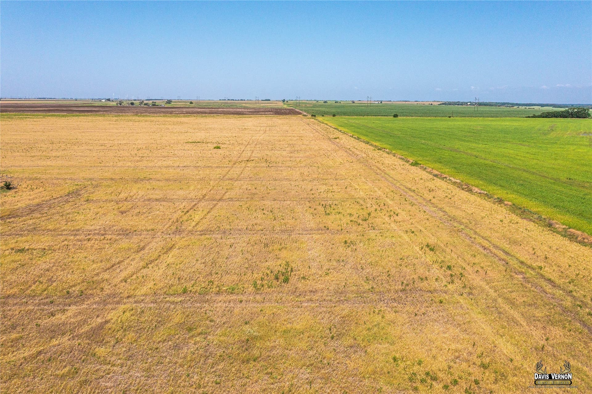 160 acres in Wilbarger County gallery image 4