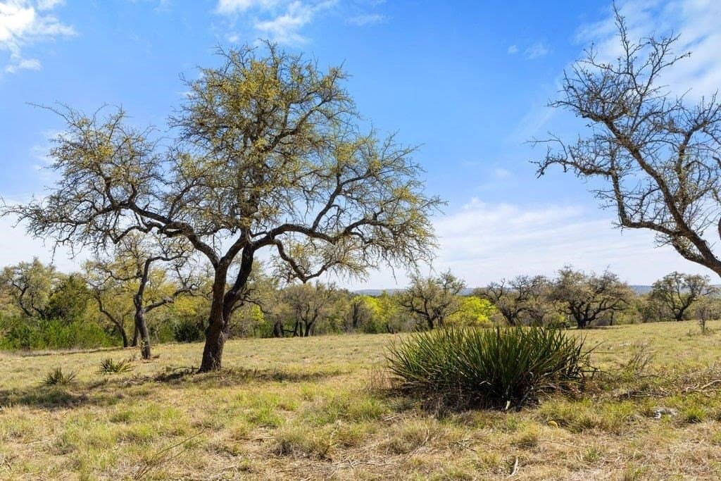 5 acres in Blanco County gallery image 4