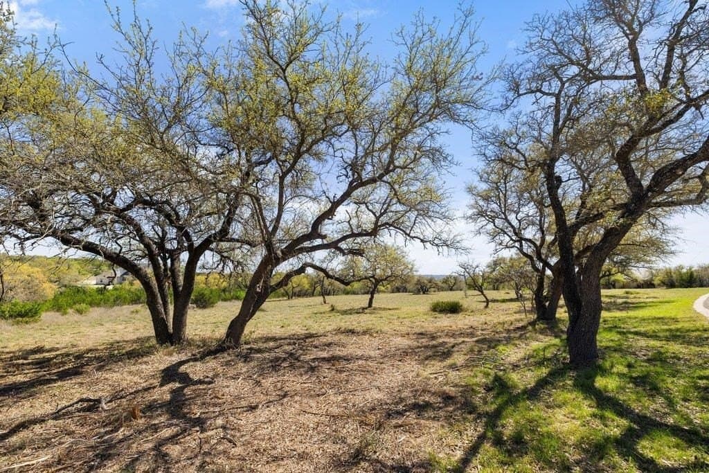 5 acres in Blanco County gallery image 3