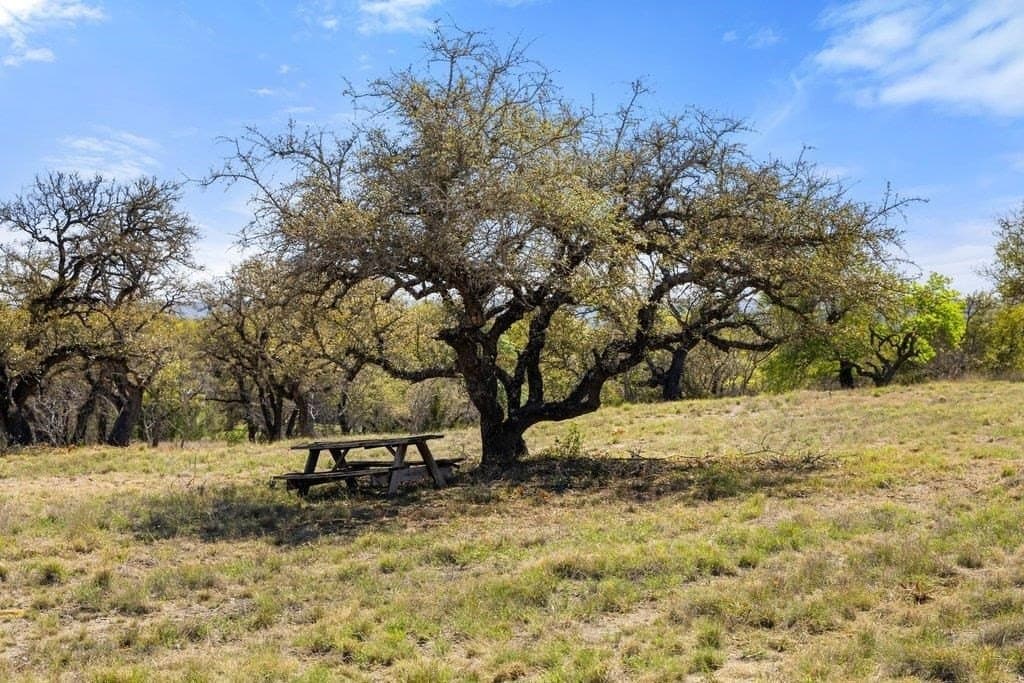 5 acres in Blanco County gallery image 2