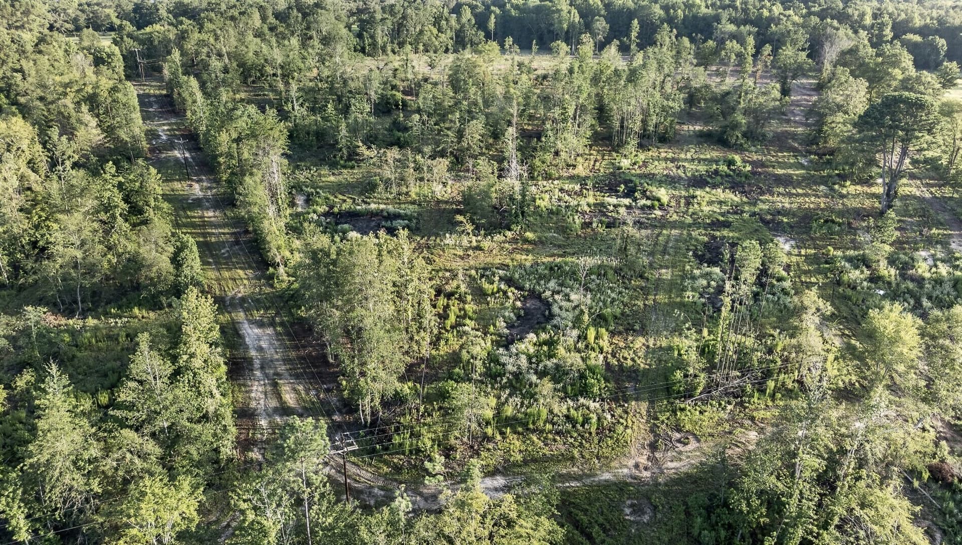 21 acres in Smith County - photo 4
