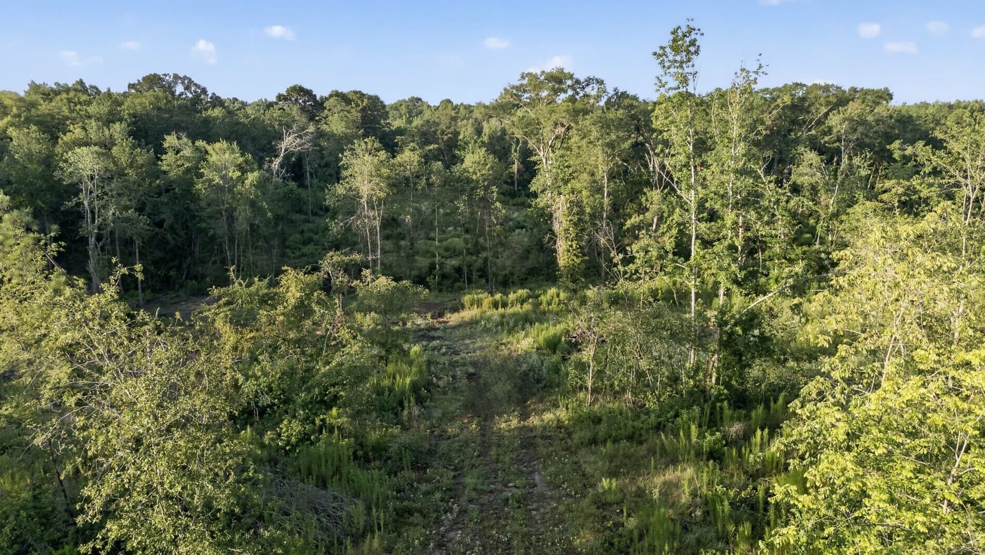 21 acres in Smith County - photo 3