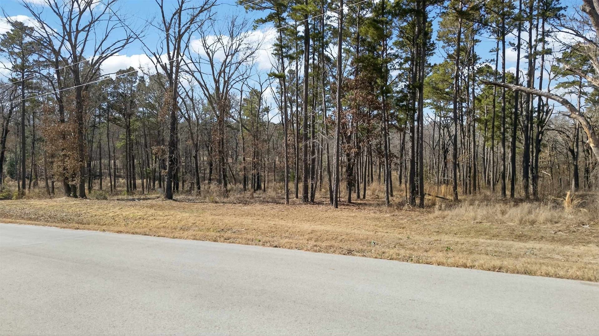 1.6 acres in Henderson County gallery image 2