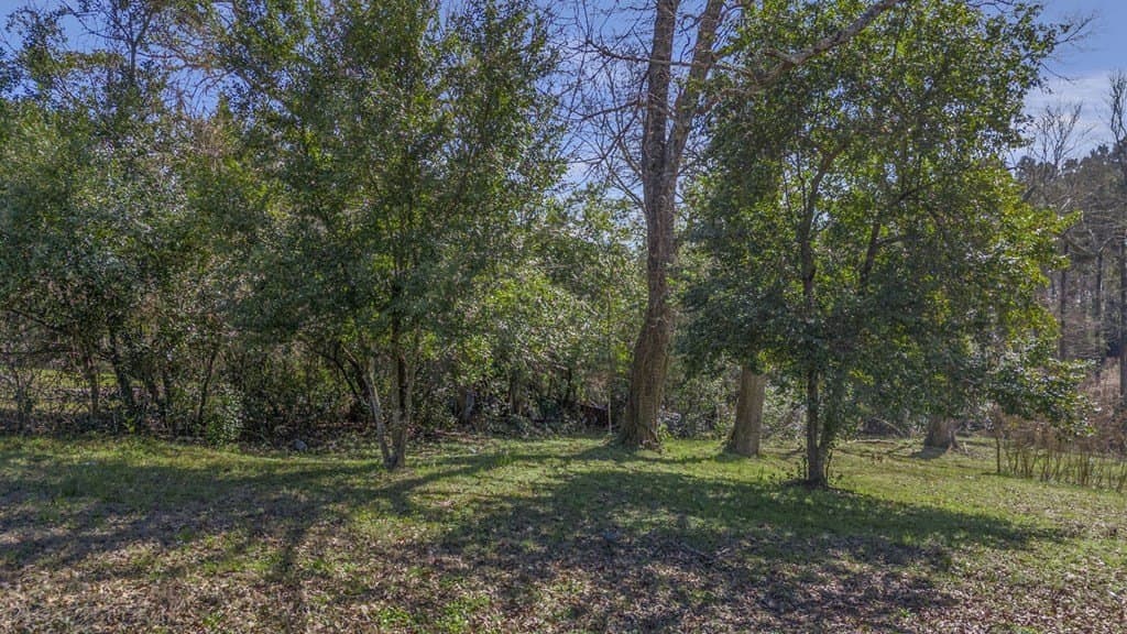 0 acres in Texas County featured view