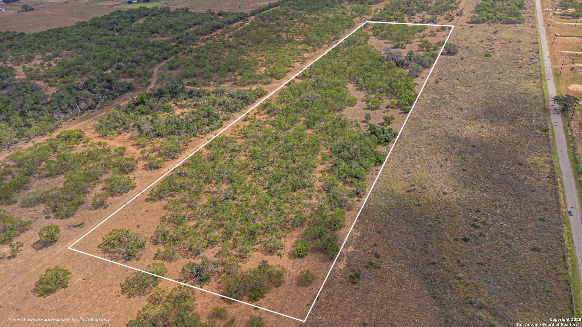 11.25 acres in Wilson County gallery image 4
