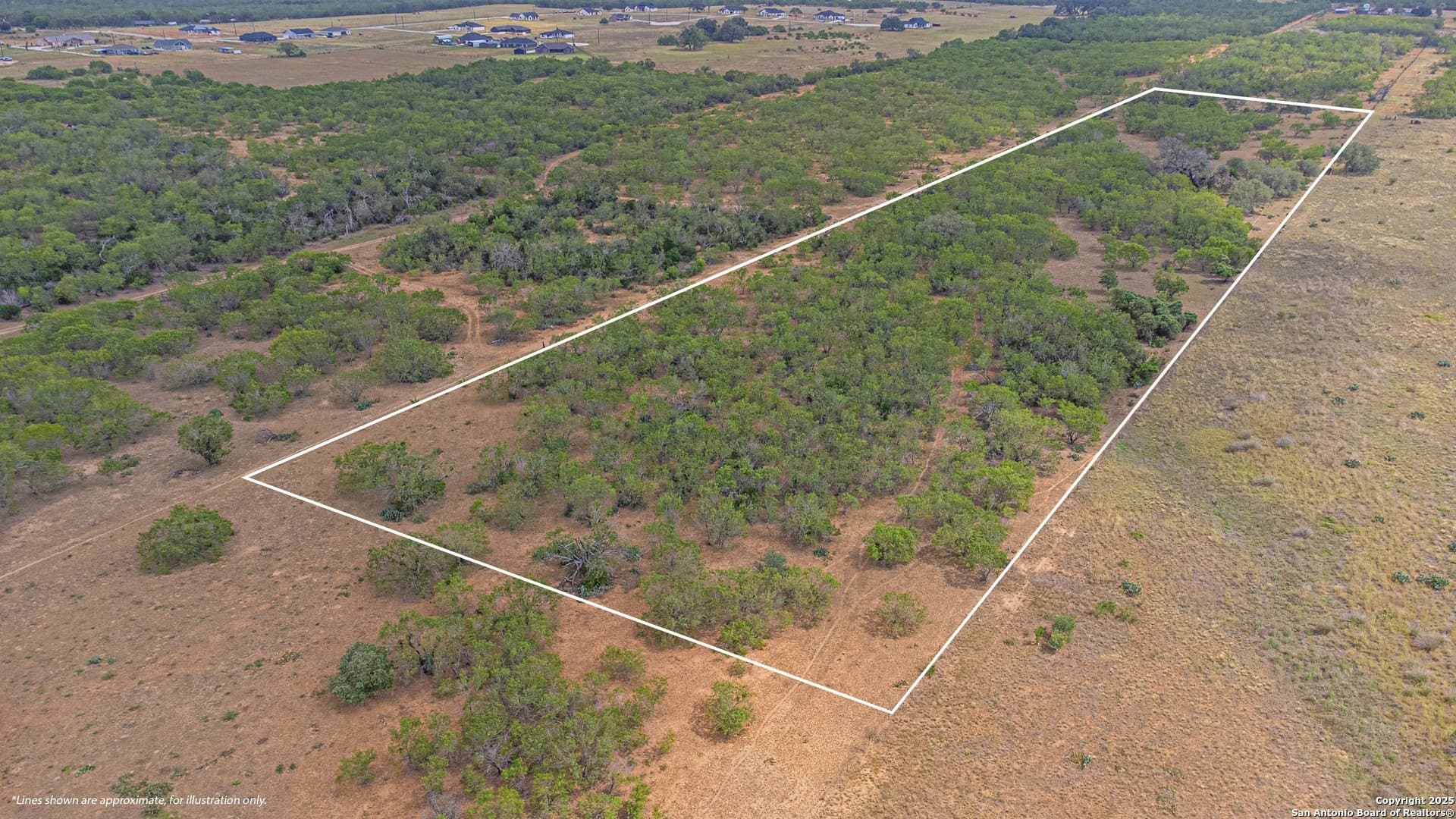 11.25 acres in Wilson County gallery image 3