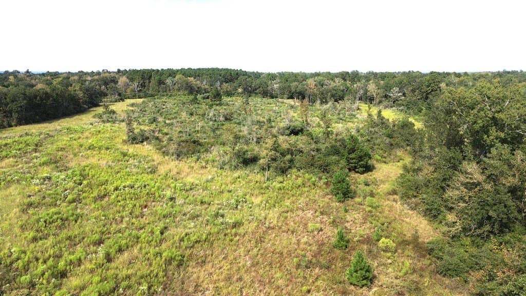 163.11 acres in Texas County - photo 18