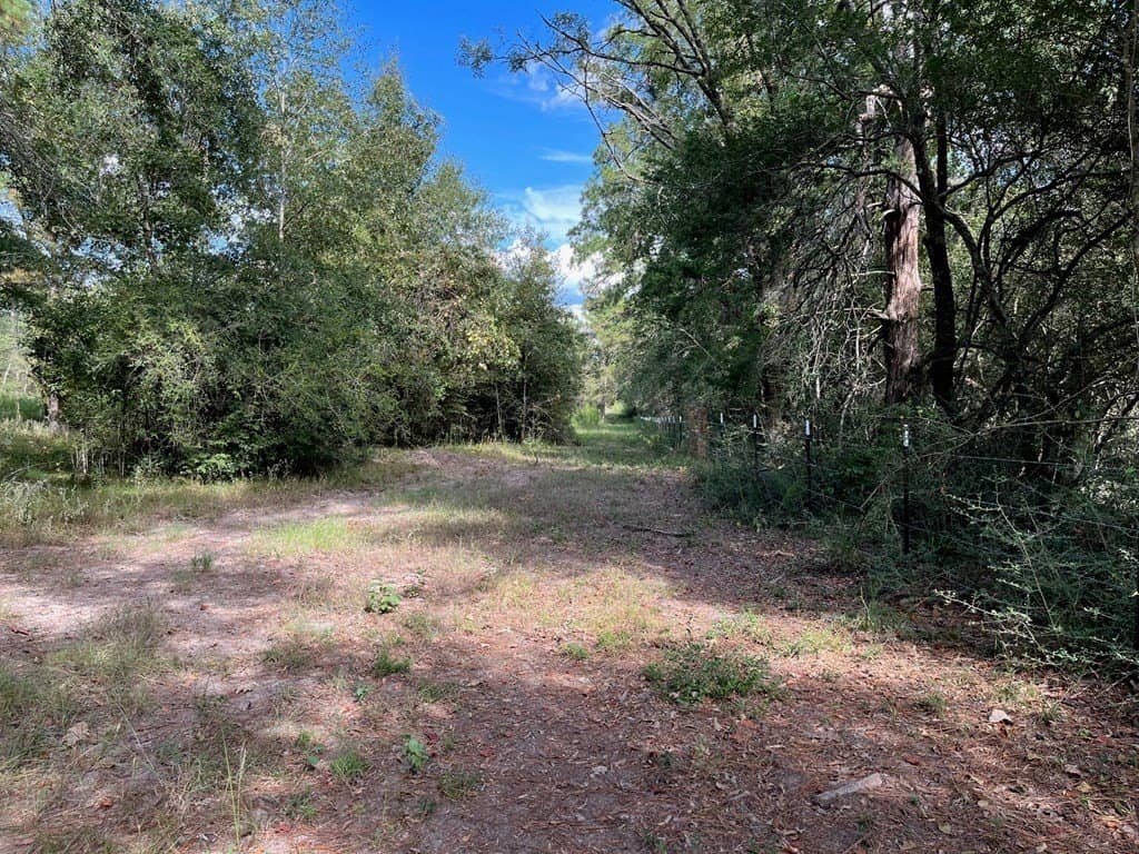 163.11 acres in Texas County - photo 30
