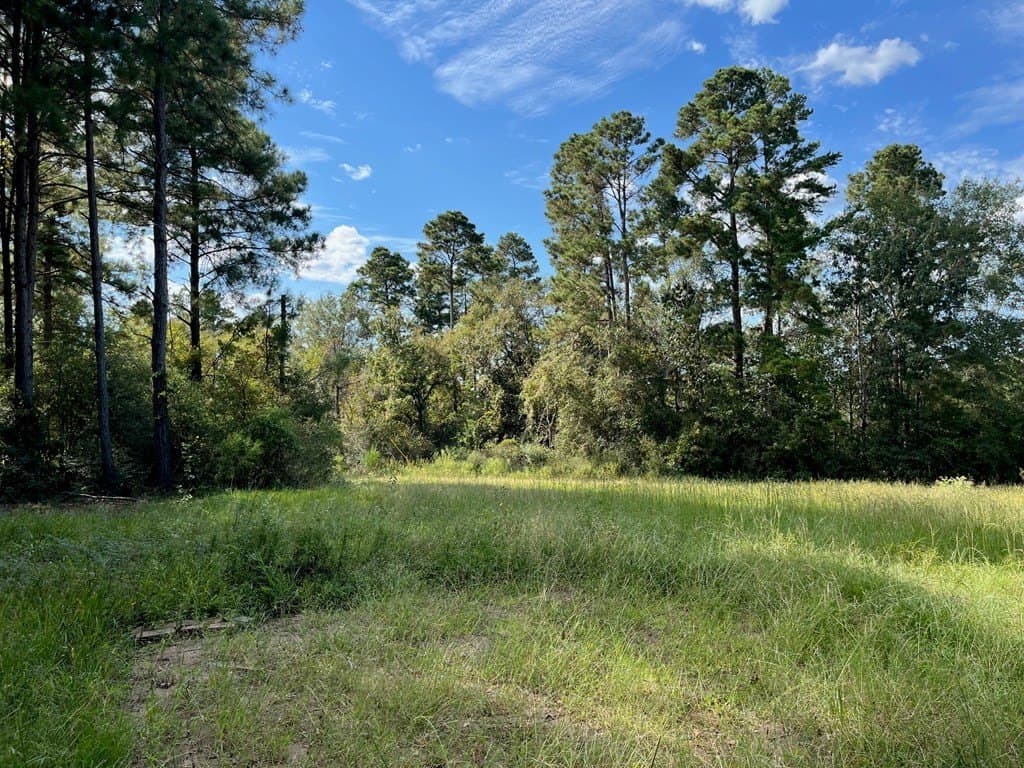 163.11 acres in Texas County - photo 13