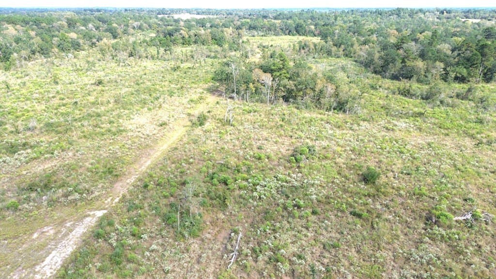 163.11 acres in Texas County - photo 23