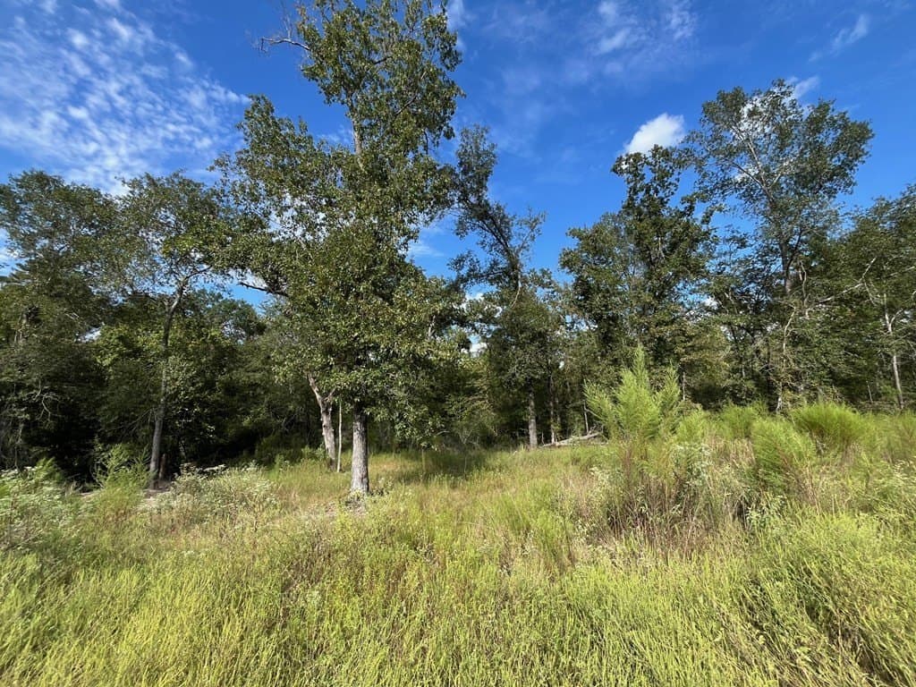 163.11 acres in Texas County - photo 33