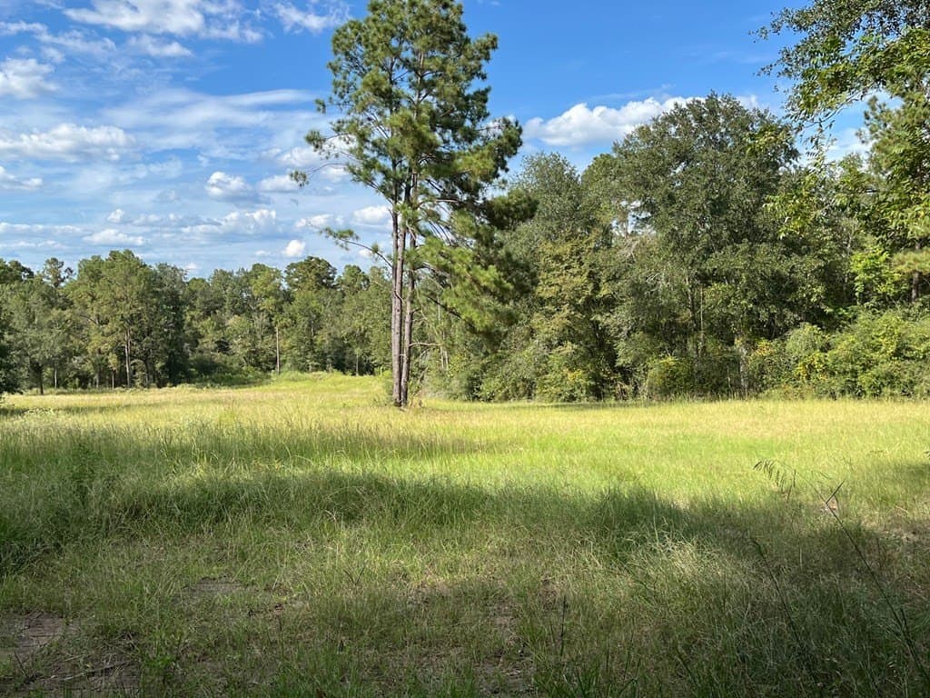 163.11 acres in Texas County - photo 11