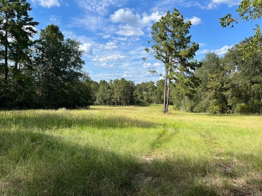 163.11 acres in Texas County - photo 12