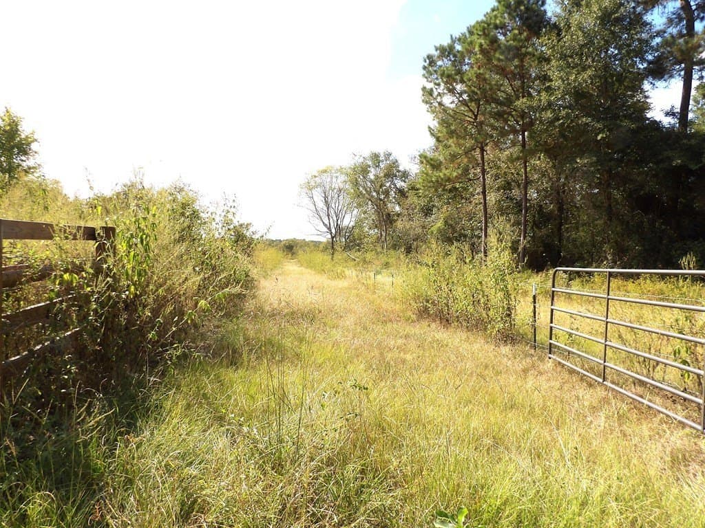 163.11 acres in Texas County - photo 14