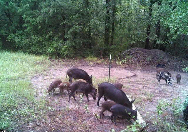 163.11 acres in Texas County - photo 6