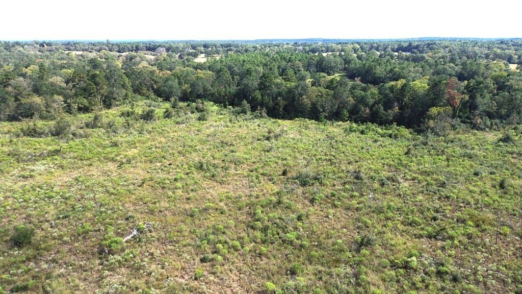 163.11 acres in Texas County - photo 22
