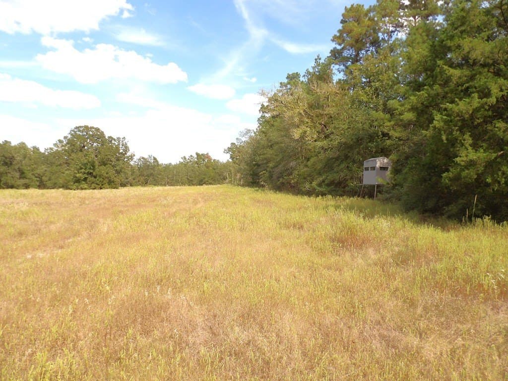 163.11 acres in Texas County - photo 10