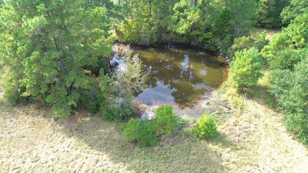 163.11 acres in Texas County - photo 28