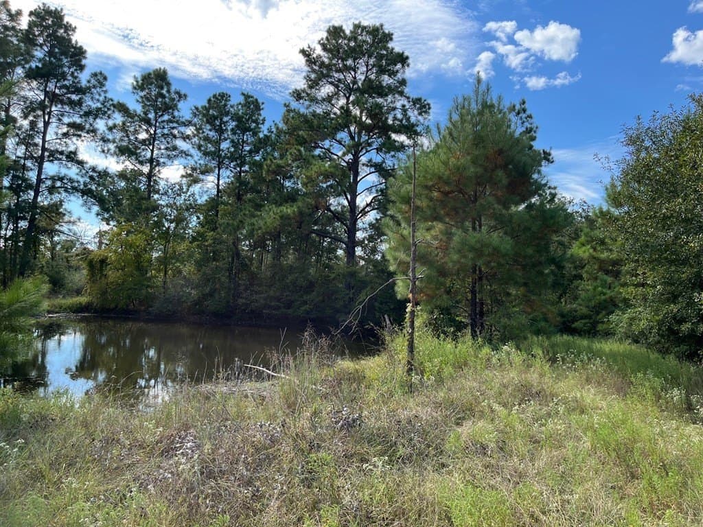 163.11 acres in Texas County - photo 34