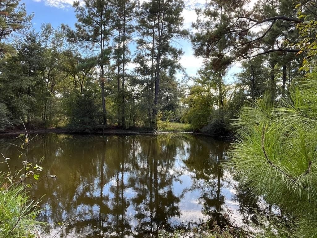 163.11 acres in Texas County