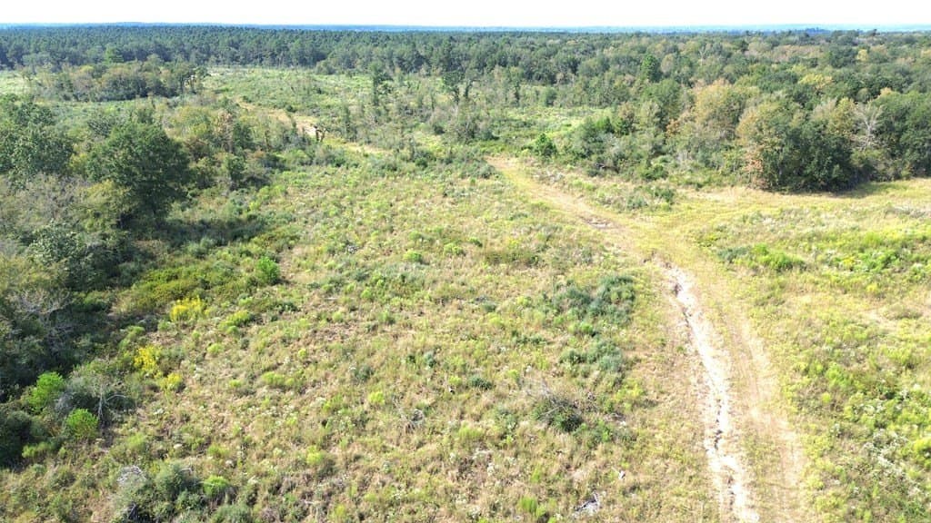 163.11 acres in Texas County - photo 19