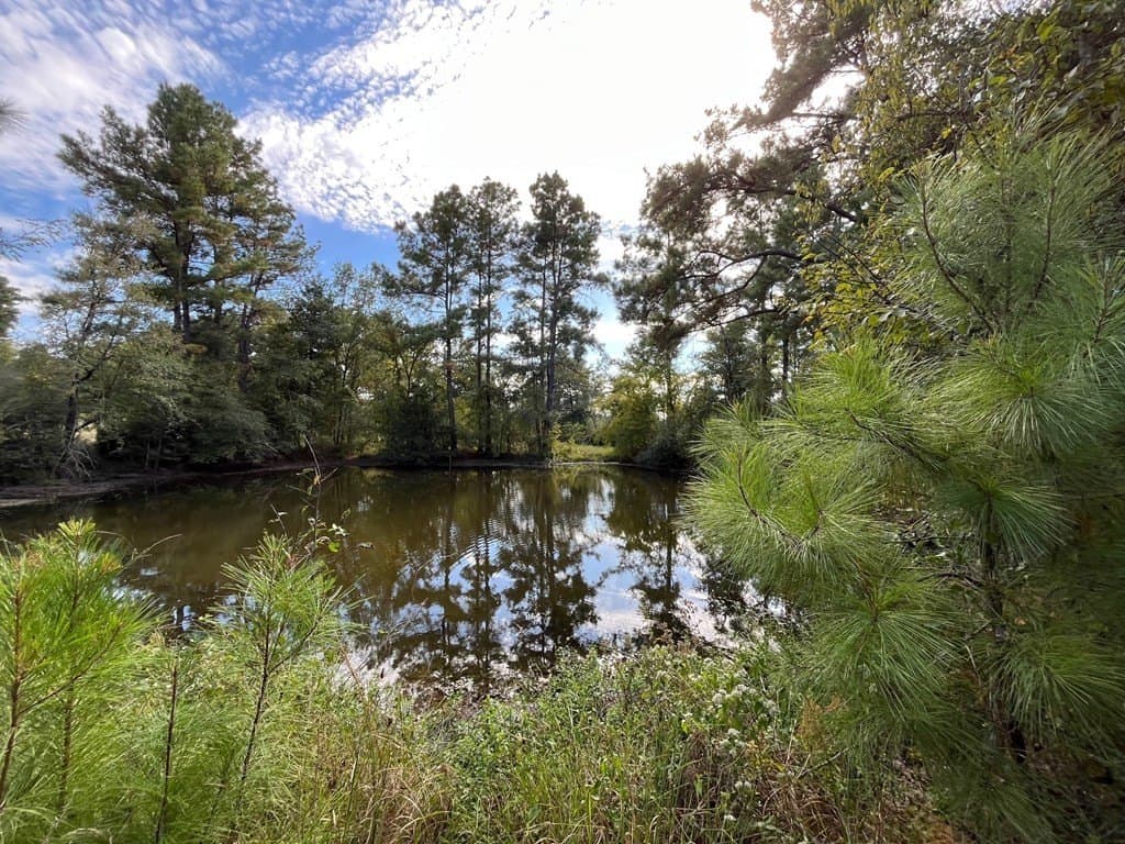 163.11 acres in Texas County gallery image 2